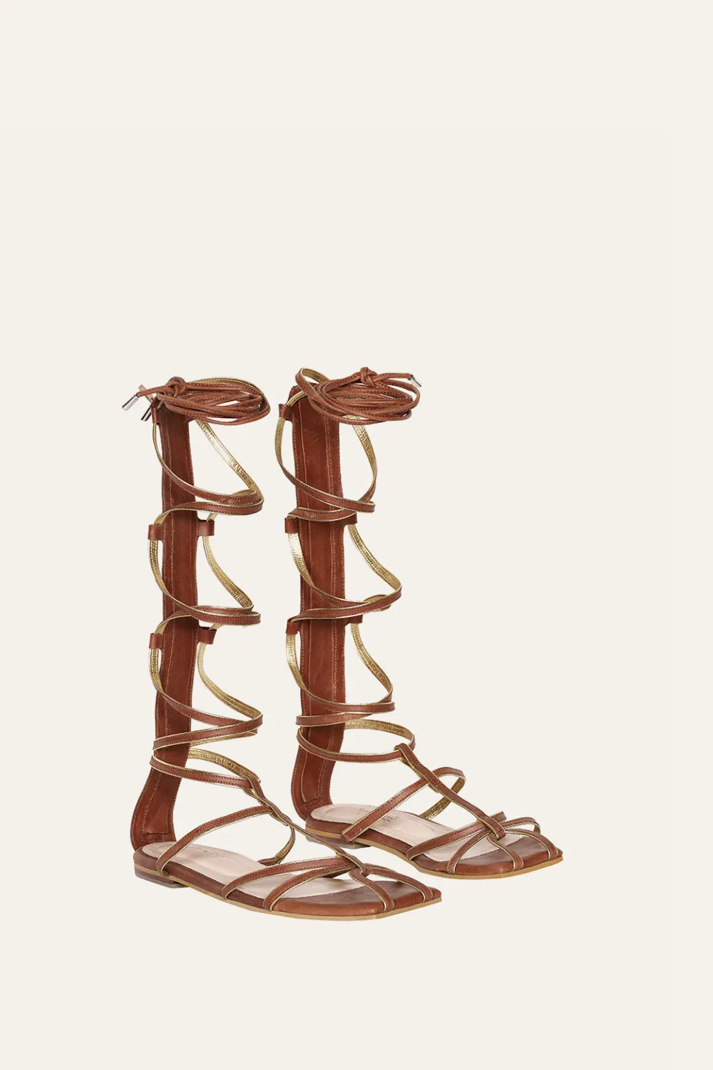 Baquiana Gladiator