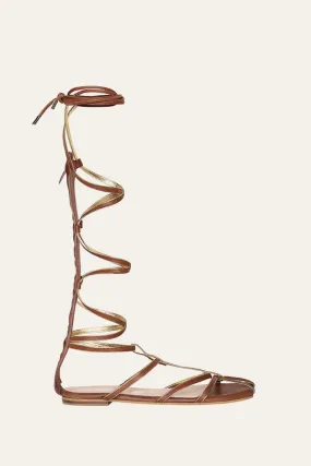 Baquiana Gladiator