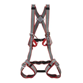 DMM Unisex Tom Kitten Red/Grey | Buy DMM Unisex Tom Kitten Red/Grey here | Outnorth